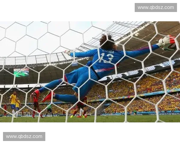 2014年巴西世界杯决赛精彩回顾与球员瞬间全解析